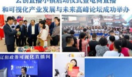 最新辽阳爆料新闻报道,揭秘重大事件背后真相